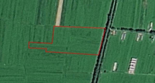破坏耕地、毁林毁草典型问题突出 多地被通报