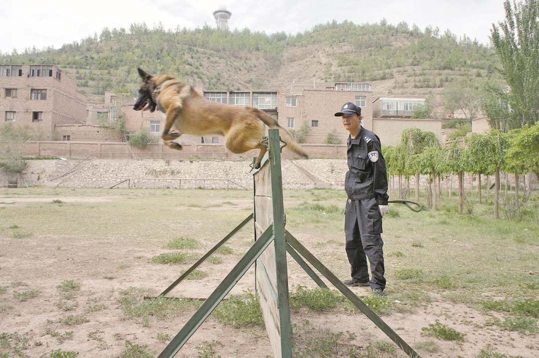 搜毒数千克！听听功勋警犬与训导员的传奇故事