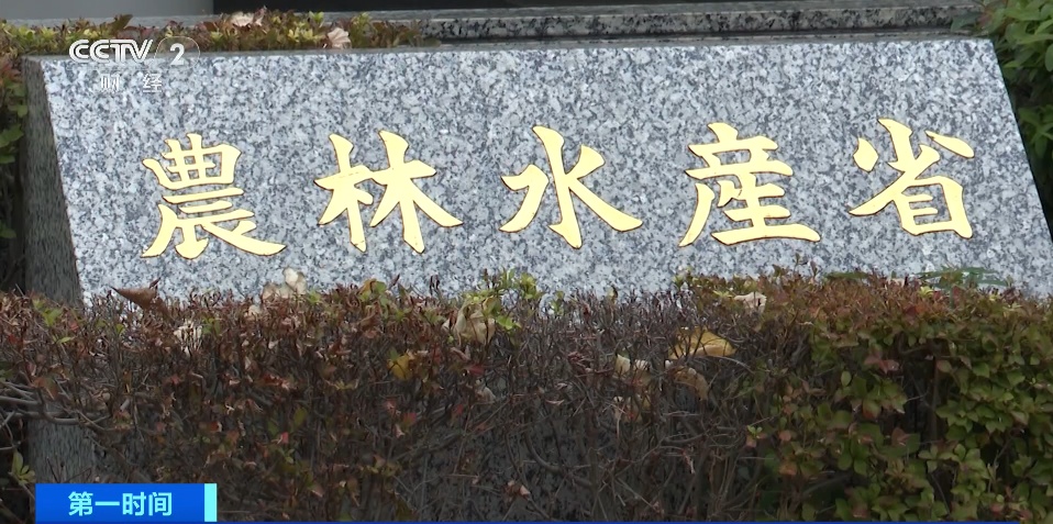 价格飙升!日本人纷纷跑去韩国买“它”!有人一口气带回40斤! 价格飙升!日本人纷纷跑去韩国买“它”!有人一口气带回40斤!