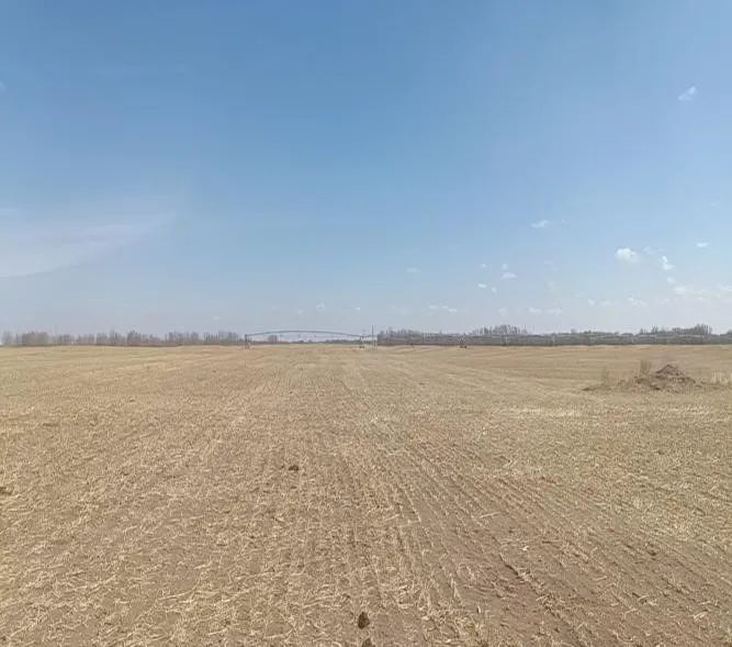 破坏耕地、毁林毁草典型问题突出 多地被通报