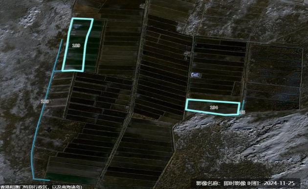 破坏耕地、毁林毁草典型问题突出 多地被通报