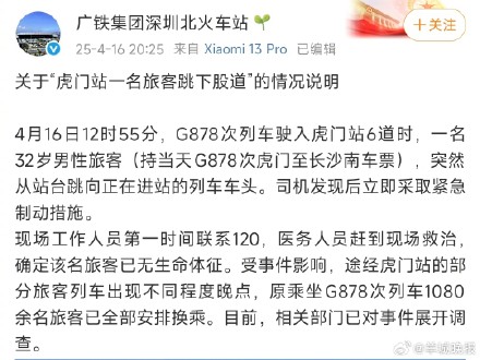 虎门站一旅客跳向进站列车