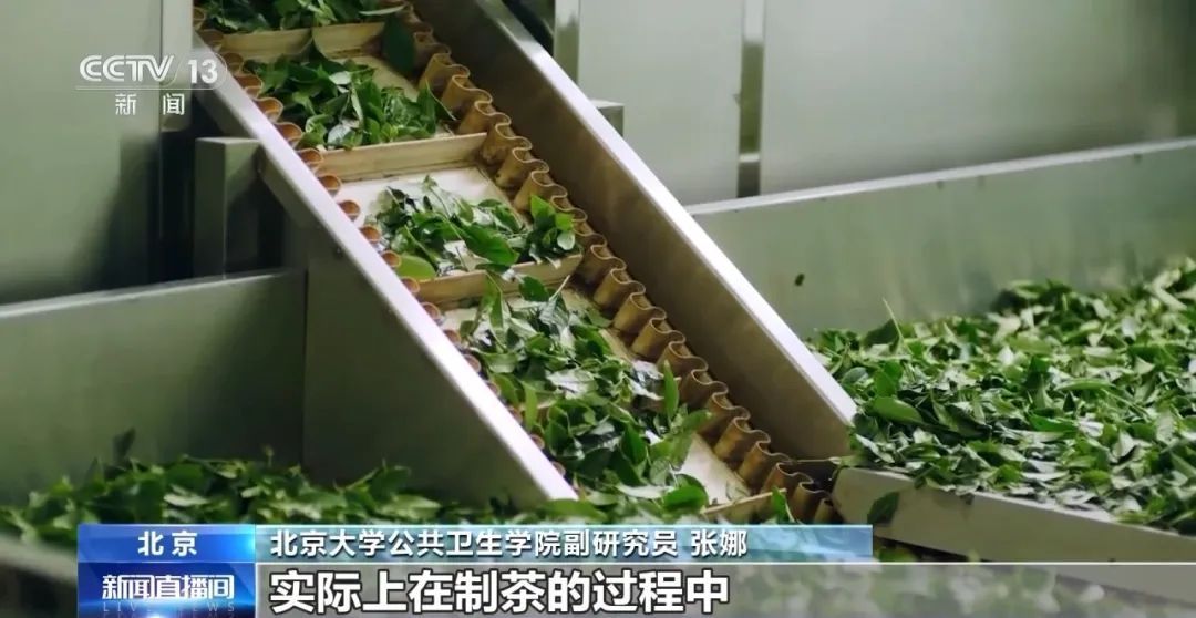 喝茶会肾结石、钙流失？如何健康饮茶