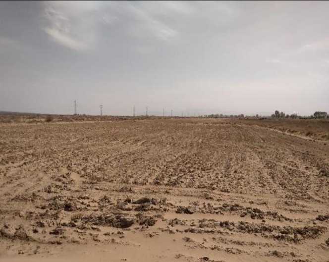 破坏耕地、毁林毁草典型问题突出 多地被通报