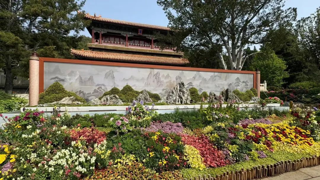 打卡《国色芳华》同款牡丹！景山2万余株牡丹盛宴来了