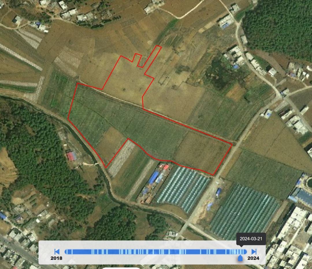破坏耕地、毁林毁草典型问题突出 多地被通报