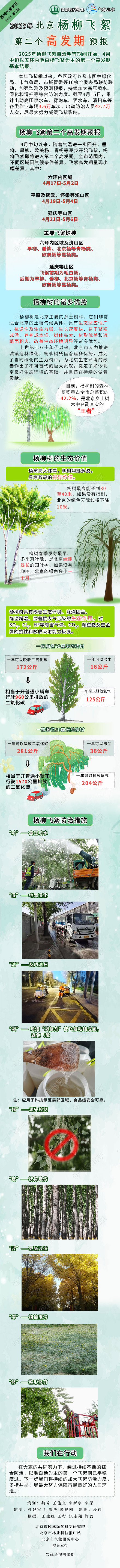 2025年北京杨柳飞絮第二个高发期预报发布 2025年北京杨柳飞絮第二个高发期预报发布