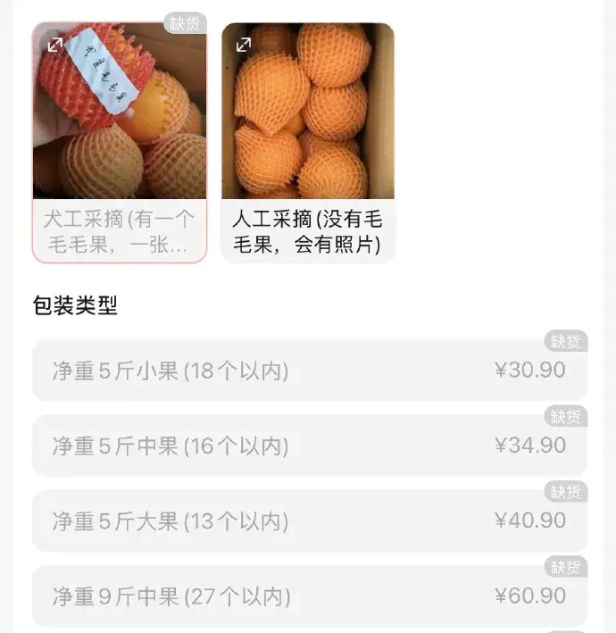 “毛毛果”已缺货!摘橙子的网红小狗“毛毛”突发心脏病离世 “毛毛果”已缺货!摘橙子的网红小狗“毛毛”突发心脏病离世