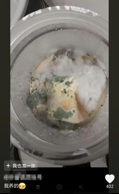 把酵母和牙膏当宠物养？网友：果然老祖宗有智慧……