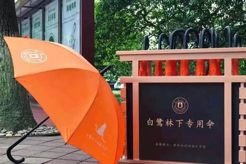 又一地惊现“天屎之路”！路人被“袭击”，有大学生为此写论文...