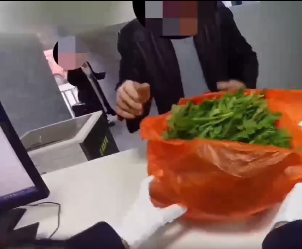 男子手拎981株罂粟苗入境云南被查，清点时铺满海关查验台