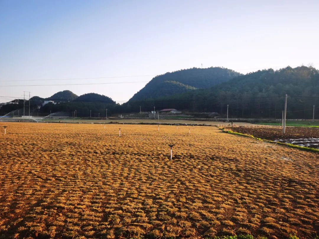 破坏耕地、毁林毁草典型问题突出 多地被通报