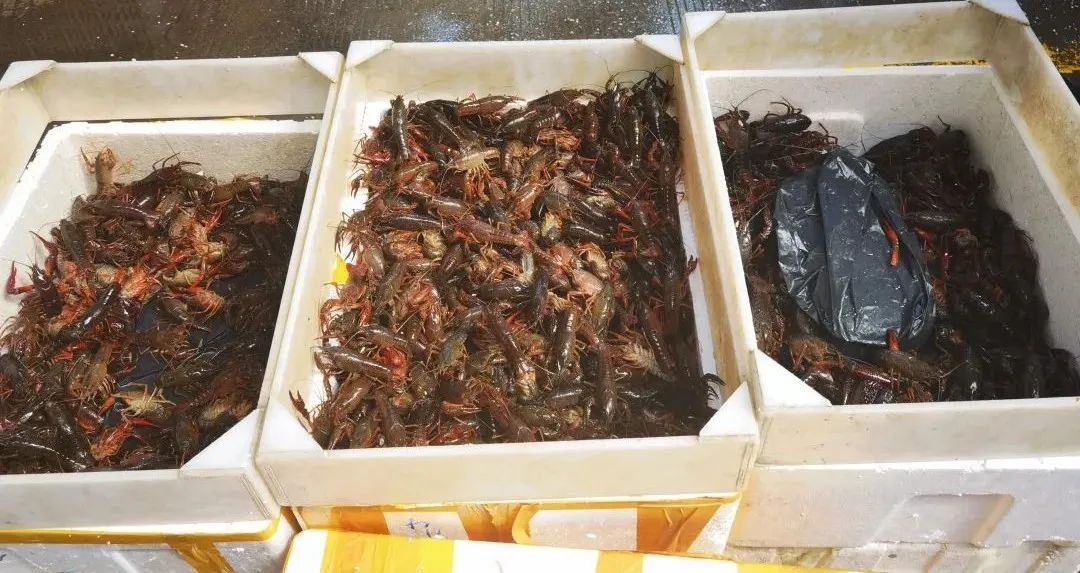 “一天一个价”，“顶流”正大量上市，提醒：这些部位不要吃