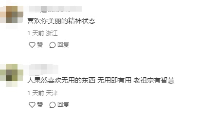 把酵母和牙膏当宠物养？网友：果然老祖宗有智慧……