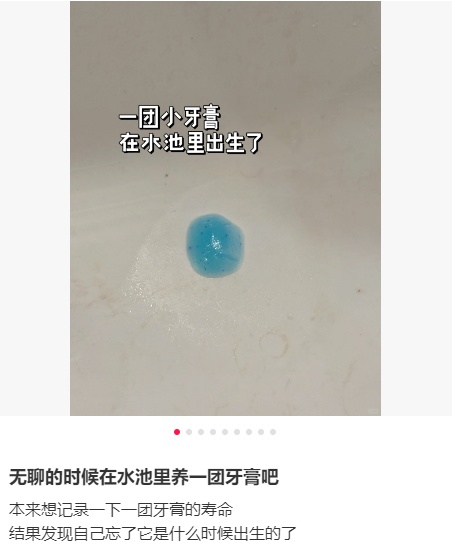 把酵母和牙膏当宠物养？网友：果然老祖宗有智慧……