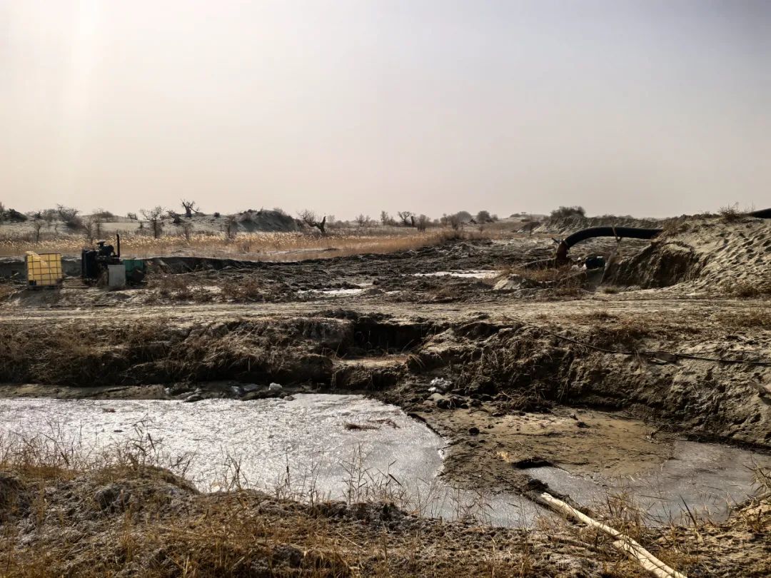 破坏耕地、毁林毁草典型问题突出 多地被通报