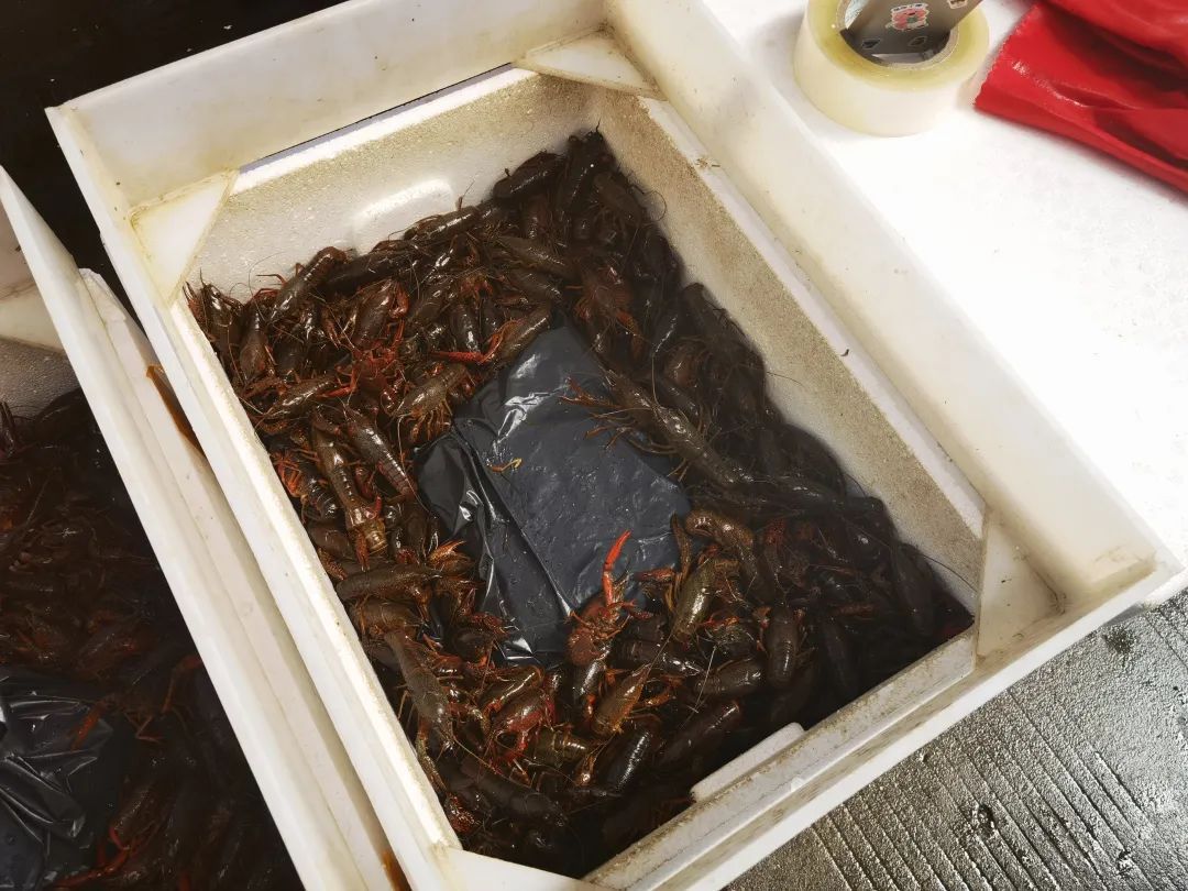“一天一个价”，“顶流”正大量上市，提醒：这些部位不要吃
