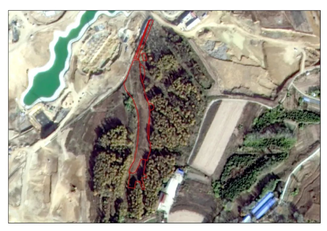 破坏耕地、毁林毁草典型问题突出 多地被通报