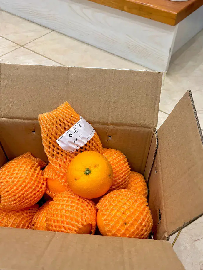 “毛毛果”已缺货!摘橙子的网红小狗“毛毛”突发心脏病离世 “毛毛果”已缺货!摘橙子的网红小狗“毛毛”突发心脏病离世