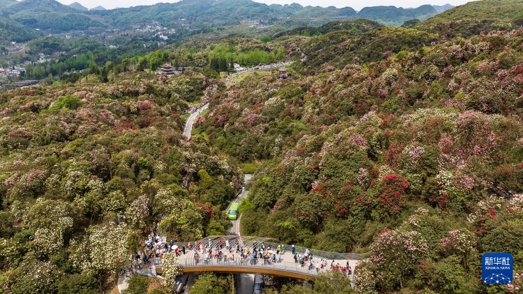 贵州：多彩大地 风光无限