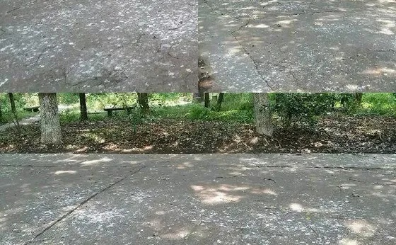 又一地惊现“天屎之路”！路人被“袭击”，有大学生为此写论文...