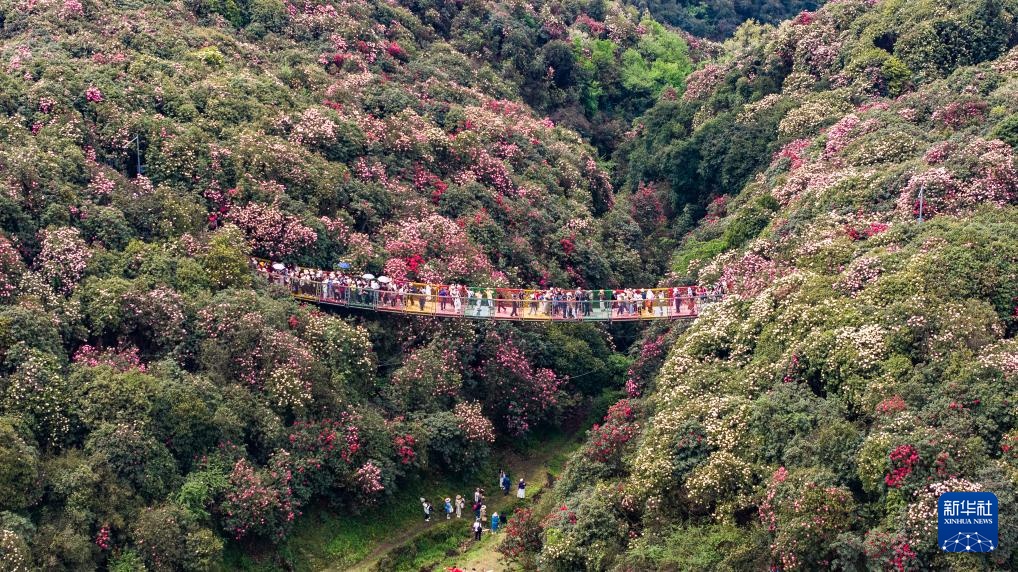 贵州：多彩大地 风光无限