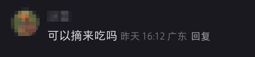 杭州绿化带里竟然种上了蓝莓！网友：能吃吗？