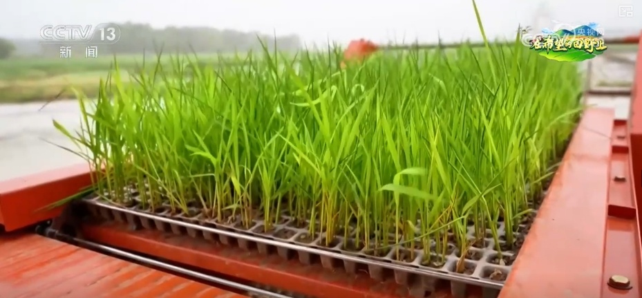 “科技+服务”助力“慧”好“春耕图” 科技显身手夯实丰收基础 “科技+服务”助力“慧”好“春耕图” 科技显身手夯实丰收基础