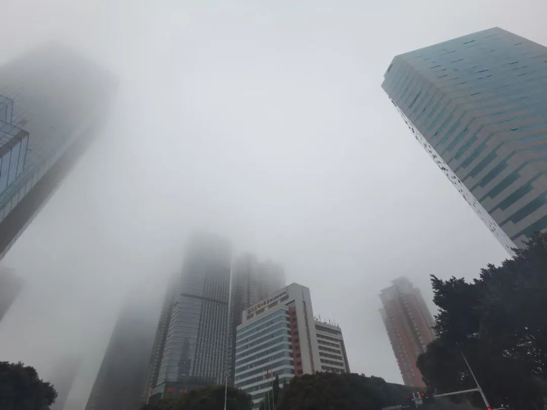 大雾警报！新一轮降雨今日抵达福建！