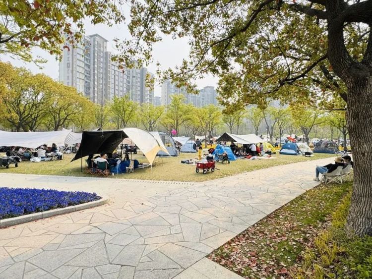 事发上海！有人被割伤，密密麻麻！世博文化公园5月1日起禁止使用风绳和地钉