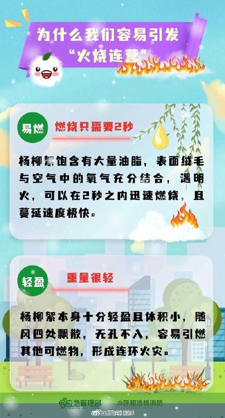 北京发布2025年杨柳飞絮第二个高发期预报