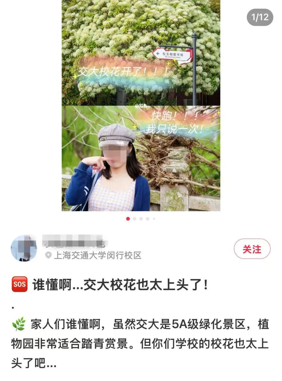 街头突然"大爆发"，熏得想吐！像臭鱼烂虾泡在杏仁奶里…腥臭不可描述