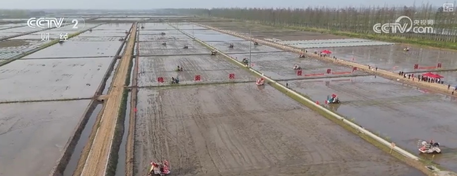 “科技+服务”助力“慧”好“春耕图” 科技显身手夯实丰收基础 “科技+服务”助力“慧”好“春耕图” 科技显身手夯实丰收基础