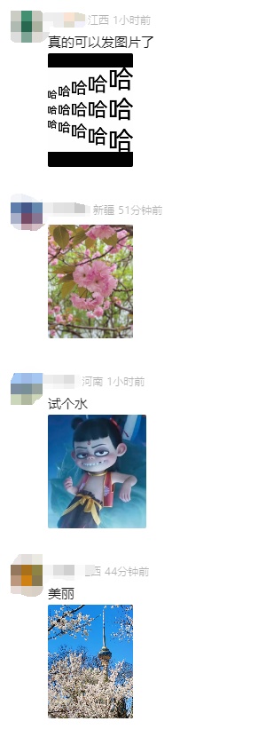 微信新功能上线！网友：哈哈哈哈哈哈哈