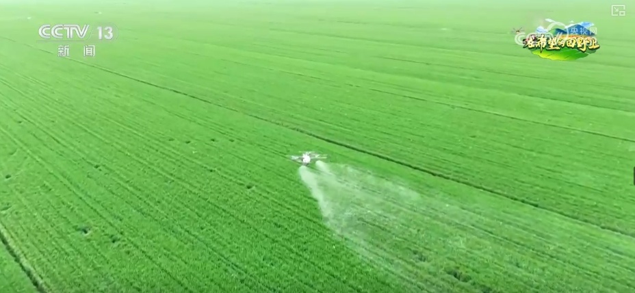 “科技+服务”助力“慧”好“春耕图” 科技显身手夯实丰收基础 “科技+服务”助力“慧”好“春耕图” 科技显身手夯实丰收基础