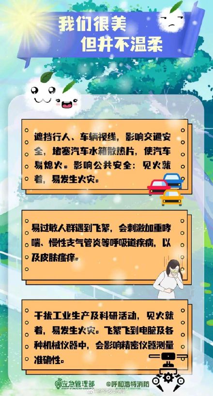 北京发布2025年杨柳飞絮第二个高发期预报