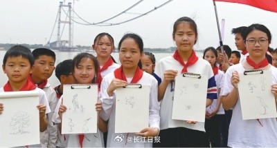 武汉江豚湾半个月出现20多头江豚