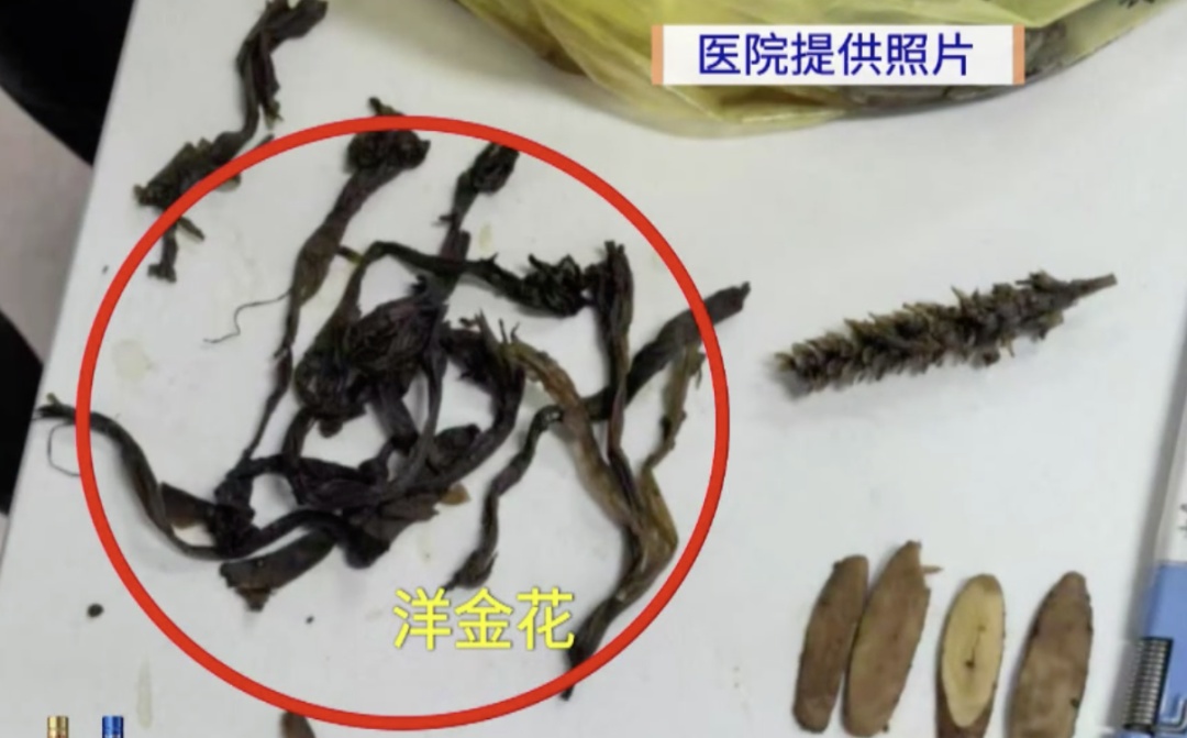 路边买药材煲汤后,广州母子双双中毒,进ICU抢救!紧急提醒 路边买药材煲汤后,广州母子双双中毒,进ICU抢救!紧急提醒