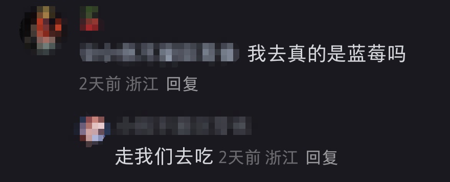 杭州绿化带里竟然种上了蓝莓！网友：能吃吗？