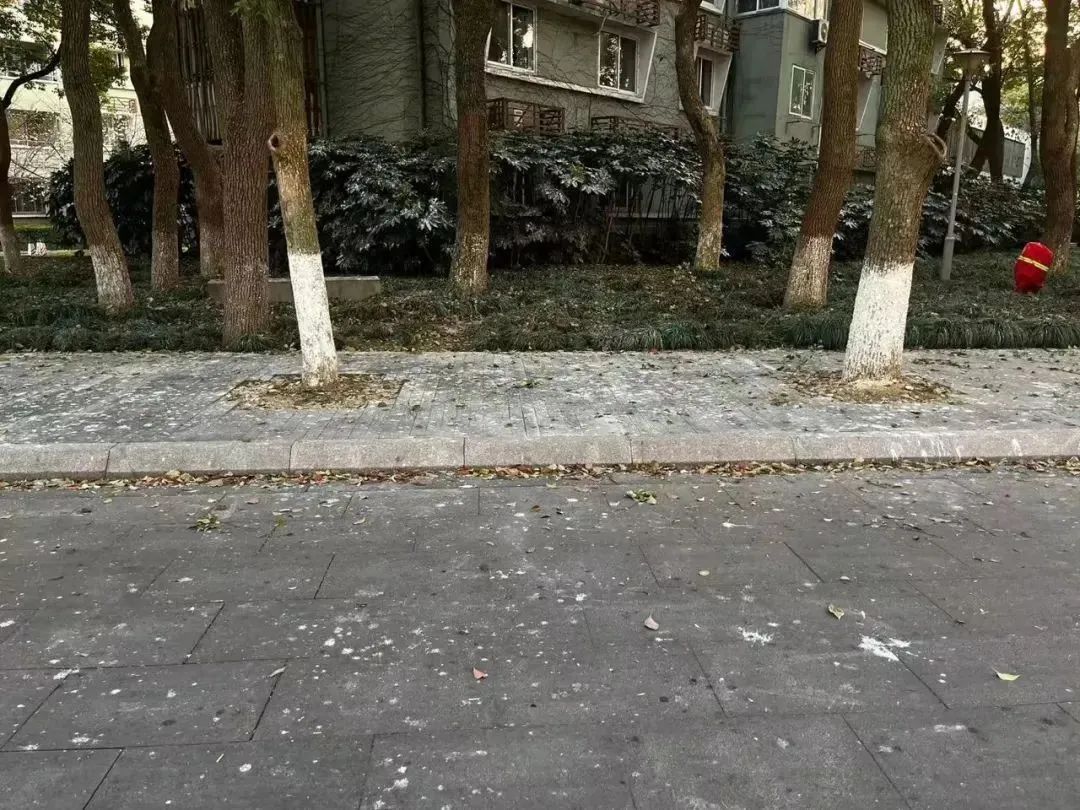 对于“天屎之路”,除了“忍一忍”还能做点啥? 对于“天屎之路”,除了“忍一忍”还能做点啥?