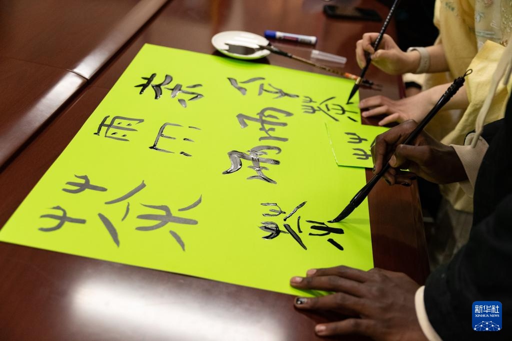 约翰内斯堡举行“国际中文日”活动