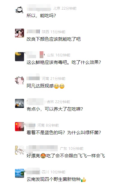 云南发现4个野生菌新物种!网友:可以吃吗? 云南发现4个野生菌新物种!网友:可以吃吗?