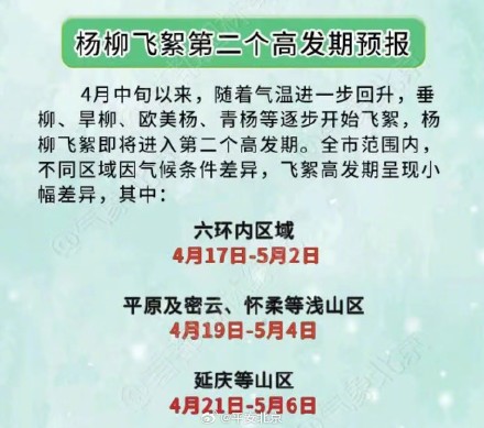 北京发布2025年杨柳飞絮第二个高发期预报