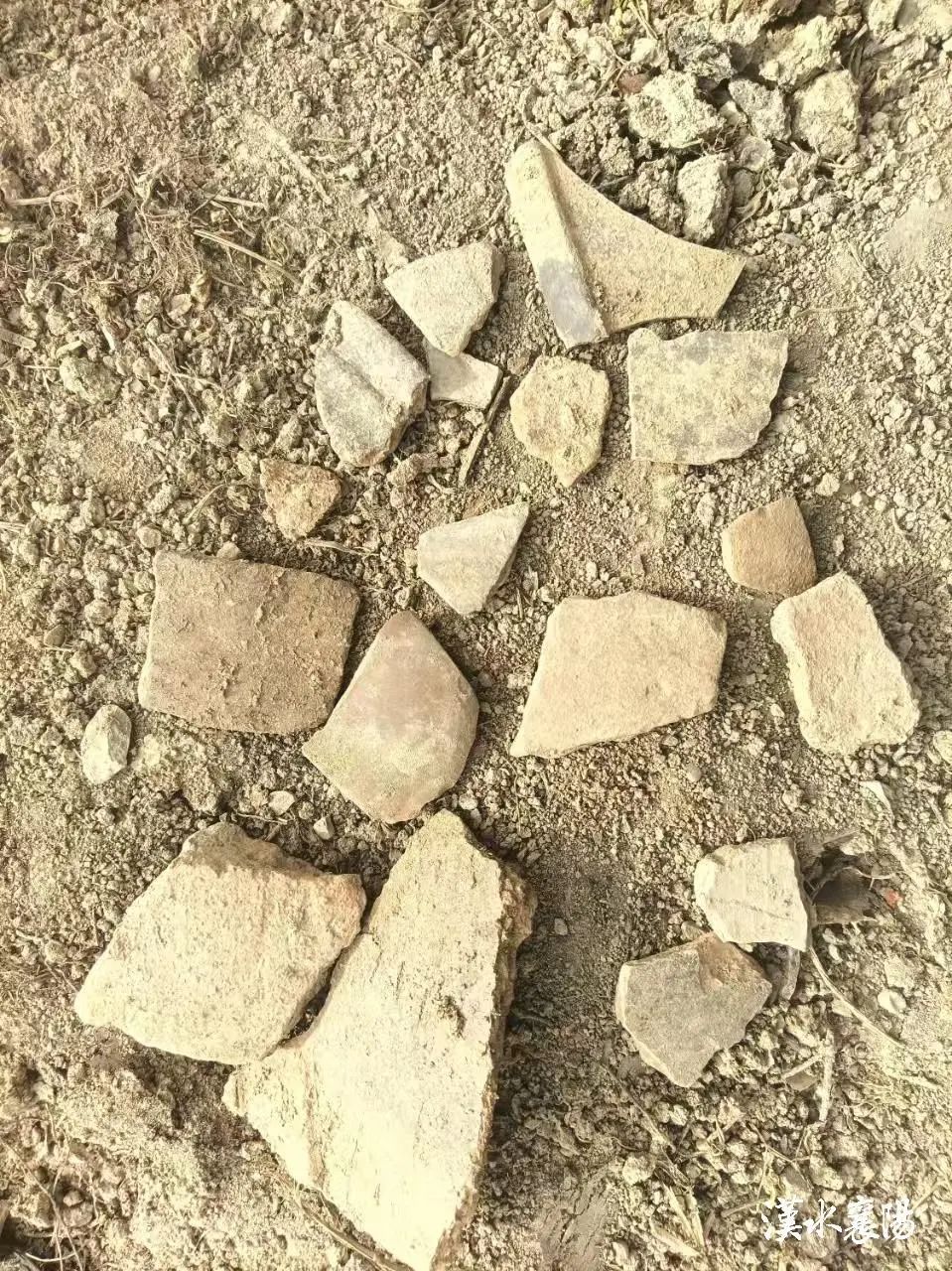 面积约100000m²！襄阳一地发现新石器时代文化遗址！