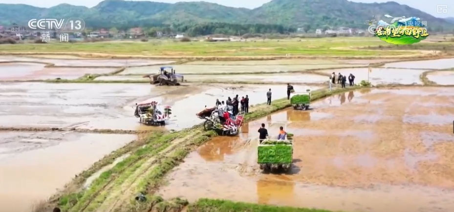 “科技+服务”助力“慧”好“春耕图” 科技显身手夯实丰收基础 “科技+服务”助力“慧”好“春耕图” 科技显身手夯实丰收基础