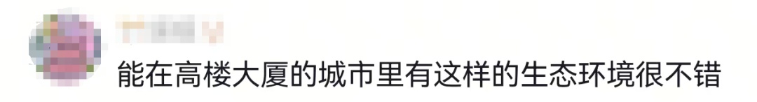 对于“天屎之路”,除了“忍一忍”还能做点啥? 对于“天屎之路”,除了“忍一忍”还能做点啥?