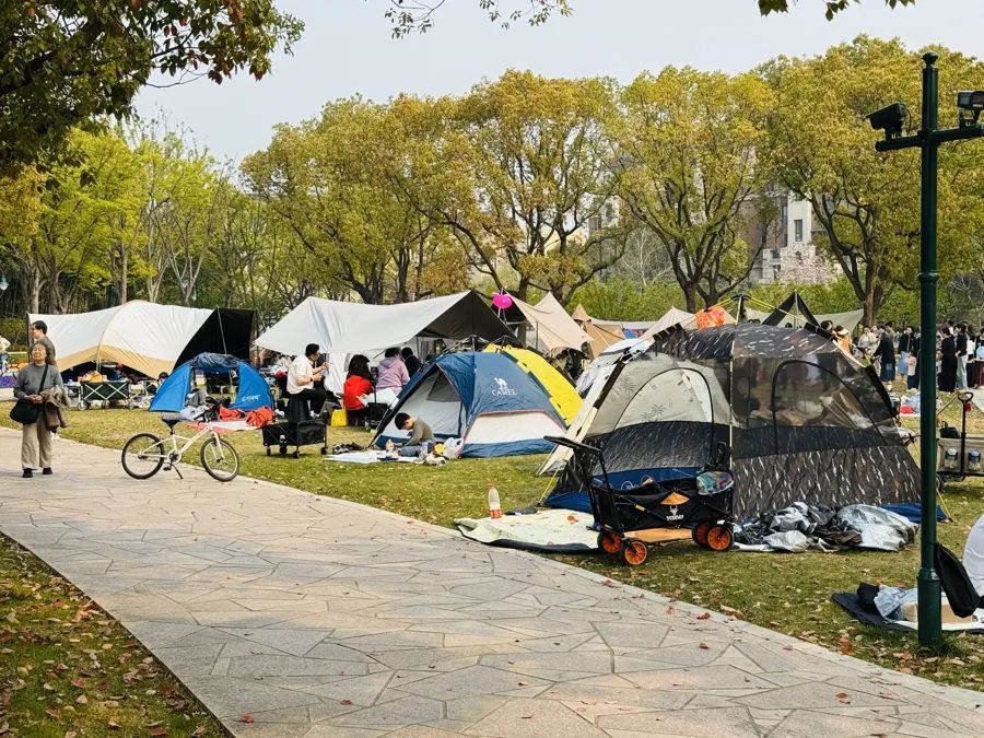 事发上海！有人被割伤，密密麻麻！世博文化公园5月1日起禁止