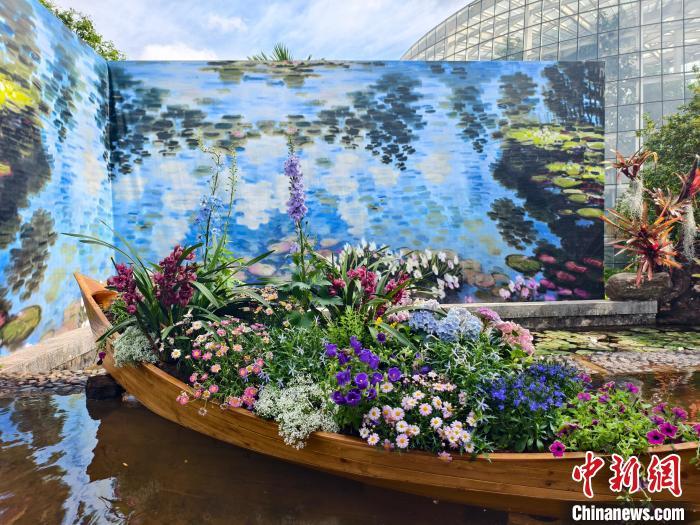 昆明植物园结合科学与艺术之美展出近400种兰花