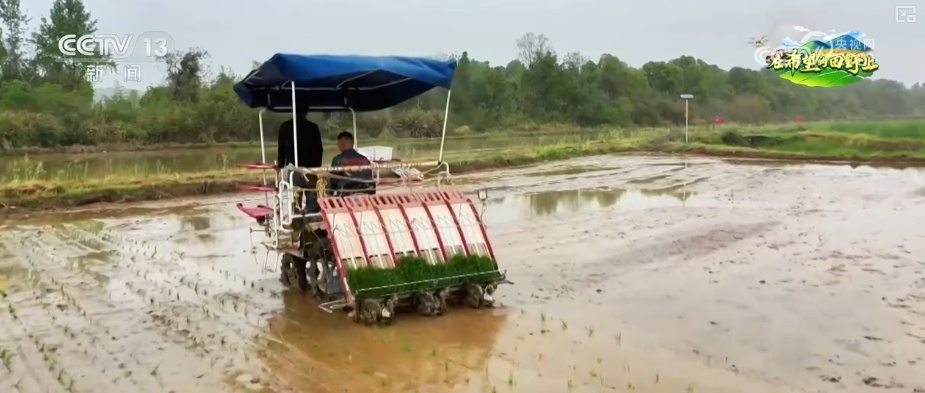 “科技+服务”助力“慧”好“春耕图” 科技显身手夯实丰收基础 “科技+服务”助力“慧”好“春耕图” 科技显身手夯实丰收基础