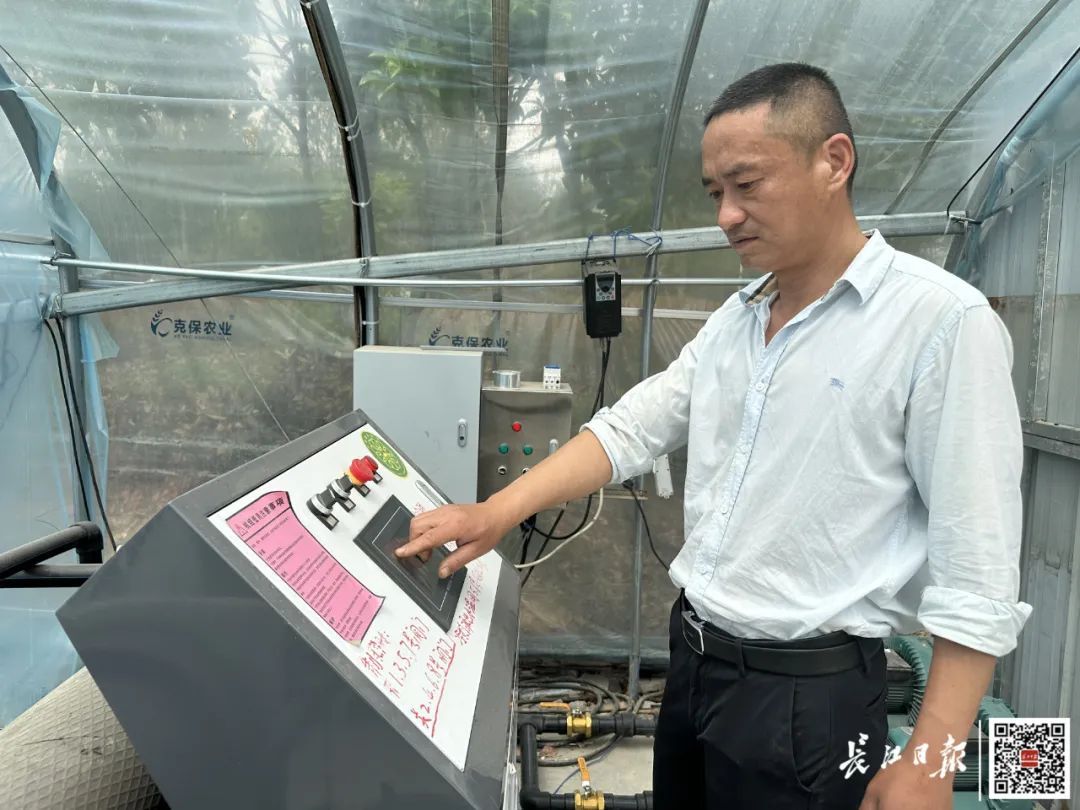 把鱼饿瘦了再卖，武汉一老板还多赚了钱